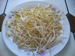 Where can I buy fresh Bean sprouts from a local farmer.