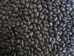 Where can I buy fresh Black beans from a local farmer.