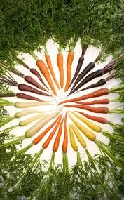 Where can I buy fresh Carrots from a local farmer.