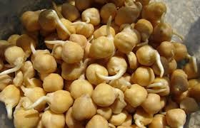Where can I buy fresh Chickpeas from a local farmer.