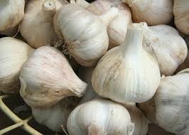 Where can I buy fresh Garlic from a local farmer.