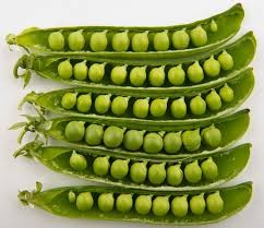 Where can I buy fresh Pigeon pea from a local farmer.