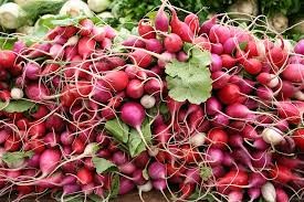 Where can i sell my local Radish.