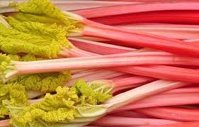 Where can i buy Rhubarb?  Find out which local farmer has Rhubarb