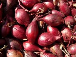 Where can i sell my local Shallot.