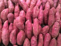 Where can i sell my local Sweet potato - Red.