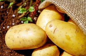 Where can i buy Sweet potato - Yellow?  Find out which local farmer has Sweet potato - Yellow