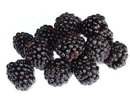 Where can i buy Blackberry?  Find out which local farmer has Blackberry