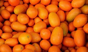 Where can i sell my local Kumquat.