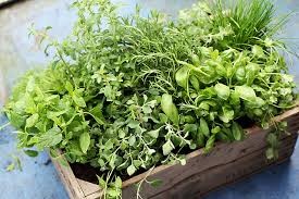 Where can I buy fresh, Hawaii Local Herbs and Spices