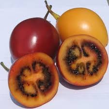 Where can i buy Tamarillo?  Find out which local farmer has Tamarillo