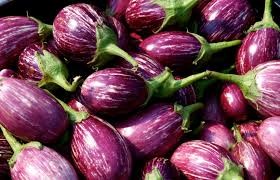 Where can I buy fresh Egg Plant from a local farmer.