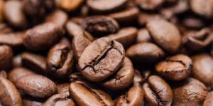 Where can i buy Coffee?  Find out which local farmer has Coffee