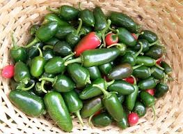 Where can I buy fresh Jalepeno Pepper from a local farmer.