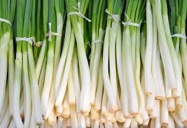 Where can i sell my local Green Onion.