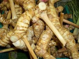 Where can i sell my local Galanga Ginger.