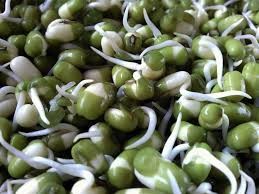 Where can i sell my local Sprouted Green Pea.