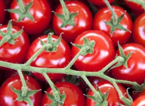 Where can i buy Cherry Tomato?  Find out which local farmer has Cherry Tomato