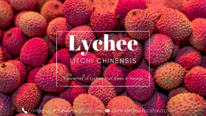 Where can i sell my local Lychee.
