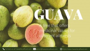 Where can i buy Guava?  Find out which local farmer has Guava