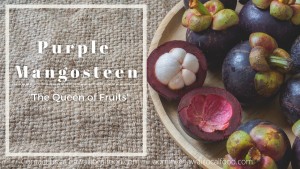 Where can I buy fresh Purple mangosteen from a local farmer.