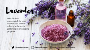 Where can I buy fresh Lavender from a local farmer.