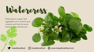 Where can I buy fresh Watercress from a local farmer.