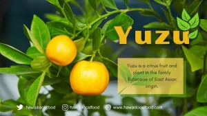 Where can I buy fresh Yuzu from a local farmer.