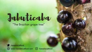 Where can i buy Jabuticaba?  Find out which local farmer has Jabuticaba