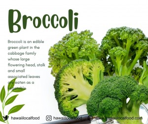Where can I buy fresh Broccoli from a local farmer.