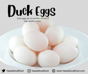 Where can I buy fresh Duck Eggs from a local farmer.