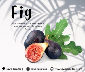 Where can I buy fresh Fig from a local farmer.