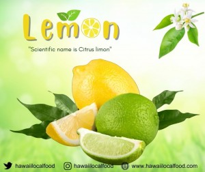 Where can i sell my local Lemon.