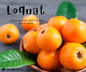 Where can I buy fresh, local Loquat.